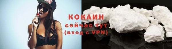 соль курить ск Новозыбков