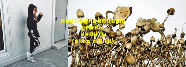 спайс Абдулино