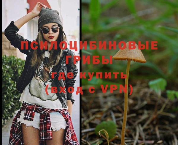 соль курить ск Новозыбков